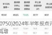 宁德时代(300750)2024年半年报点评：盈利能力亮眼 海外储能高增