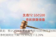 ST鼎龙：预计2024年半年度亏损1030.00万至690.00万 净利润同比下降119.99%至113.39%