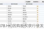 南戈壁(01878.HK)因购股权获行使发行6.33万股