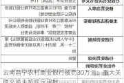 云南昌宁农村商业银行被罚30万元：重大关联交易未按规定审批