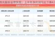 微光股份业绩快报：上半年净利润同比下降4.04%