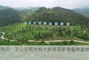 节能铁汉：子公司预中标大姚县国家储备林基地建设项目