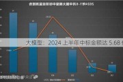 大模型：2024 上半年中标金额达 5.68 亿