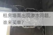 租房墙面出现渗水问题，谁来买单？