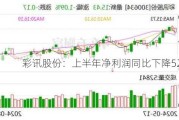 彩讯股份：上半年净利润同比下降52.92%