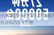 小米集团-W于5月27日发行合计6255.5万股