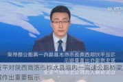 习近平对陕西商洛市柞水县境内一高速公路桥梁发生垮塌作出重要指示