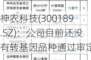 神农科技(300189.SZ)：公司目前还没有转基因品种通过审定