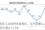 1—5月深圳工业保持快速增长，全市规模以上工业增加值同比增长12.3%