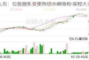 *ST九有：控股股东变更为丽水岭南松 实控人变更为袁硕