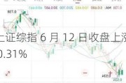 上证综指 6 月 12 日收盘上涨 0.31%