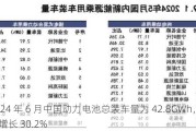 2024 年 6 月中国动力电池总装车量为 42.8GWh，同比增长 30.2%