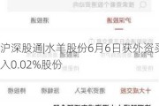 沪深股通|水羊股份6月6日获外资买入0.02%股份