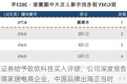 中原证券给予致欧科技买入评级，公司深度报告：领跑跨境家居电商企业，中国品牌出海正当时