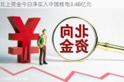 北上资金今日净买入中国核电3.48亿元