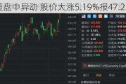 西北管道盘中异动 股价大涨5.19%报47.22美元