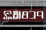 PCB概念龙头股出现大跌，科技股短期可能面临调整