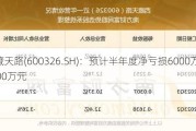 西藏天路(600326.SH)：预计半年度净亏损6000万元-9900万元