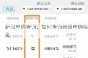 新股申购查询：如何查询新股申购信息