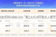 元祖股份(603886.SH)：截止6月28日股东人数为18267户