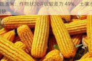 阿根廷玉米：作物状况评级较差为 49%，土壤水分 21%短缺