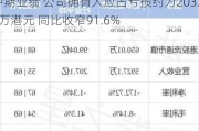 中国农业生态(08166)公布2023年中期业绩 公司拥有人应占亏损约为203.3万港元 同比收窄91.6%