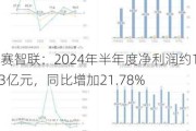 云赛智联：2024年半年度净利润约1.13亿元，同比增加21.78%