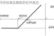 如何评估商品期权的杠杆效应