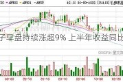 高伟电子早盘持续涨超9% 上半年收益同比增加59.8%