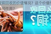 如何明确废铜回收的价值情况？这个价值情况对***循环利用有何作用？