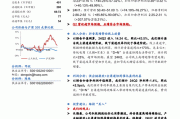 华安证券给予百润股份买入评级，百润股份24Q2点评：高基数有望平稳度过