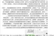 埃尼石油与KKR就出售生物燃料子公司Enilive股份进行独家谈判