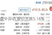 乐普生物-B盘中异动 股价大跌5.16%