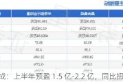 晶合集成：上半年预盈 1.5 亿-2.2 亿，同比扭亏