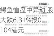 鳄鱼恤盘中异动 股价大跌6.31%报0.104港元