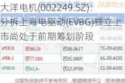 大洋电机(002249.SZ)：分拆上海电驱动(EVBG)独立上市尚处于前期筹划阶段