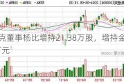 斯迪克董事杨比增持21.38万股，增持金额230.9万元