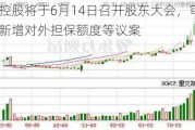 绿地控股将于6月14日召开股东大会，审议公司新增对外担保额度等议案