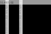 聚辰股份：本次询价转让初步确定的转让价格为55.49元/股