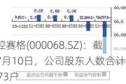 华控赛格(000068.SZ)：截止7月10日，公司股东人数合计为40873户