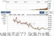 AI股涨不动了？SK海力士营利创六年新高 今日股价却暴跌超8%