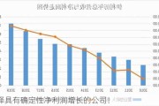 选择具有确定性净利润增长的公司！