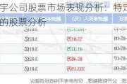 华宇公司股票市场表现分析：特定企业的股票分析