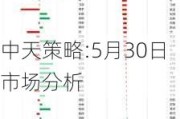 中天策略:5月30日市场分析