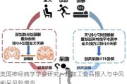 美国神经病学学会研究：超加工食品摄入与中风痴呆风险增高