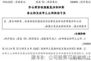 建车B：公司股票可能被终止上市