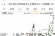 万得凯：上半年净利预增43%-70%至6608.24万元-7855.96万元