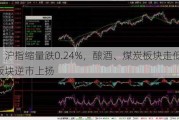 收评：沪指缩量跌0.24%，酿酒、煤炭板块走低，医药板块逆市上扬