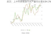 武汉：上半年新能源汽车产量同比增长84.3%