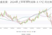 荣盛发展：2024年上半年净利润降-3.17亿 同比转亏